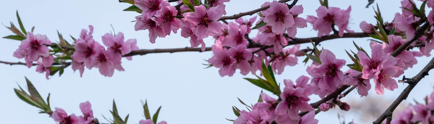 슬라이드2 내용